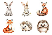 Woodland Animals Clipart, an Illustration by Design Market (Thumbnail 4 of 5)