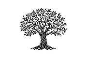 Elegant Olive Tree Silhouette, an Object Illustration by provector (Thumbnail 1 of 3)