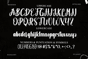 Kitchen Cabinet, a Handwritten Font by FreshTypeINK (Thumbnail 7 of 8)
