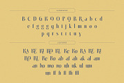 Quante – Artistic Display Serif, a Serif Font by BrandSemut (Thumbnail 9 of 10)