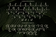 Luxury Wedding Serif Font - Moelania, a Serif Font by Say Studio (Thumbnail 10 of 10)