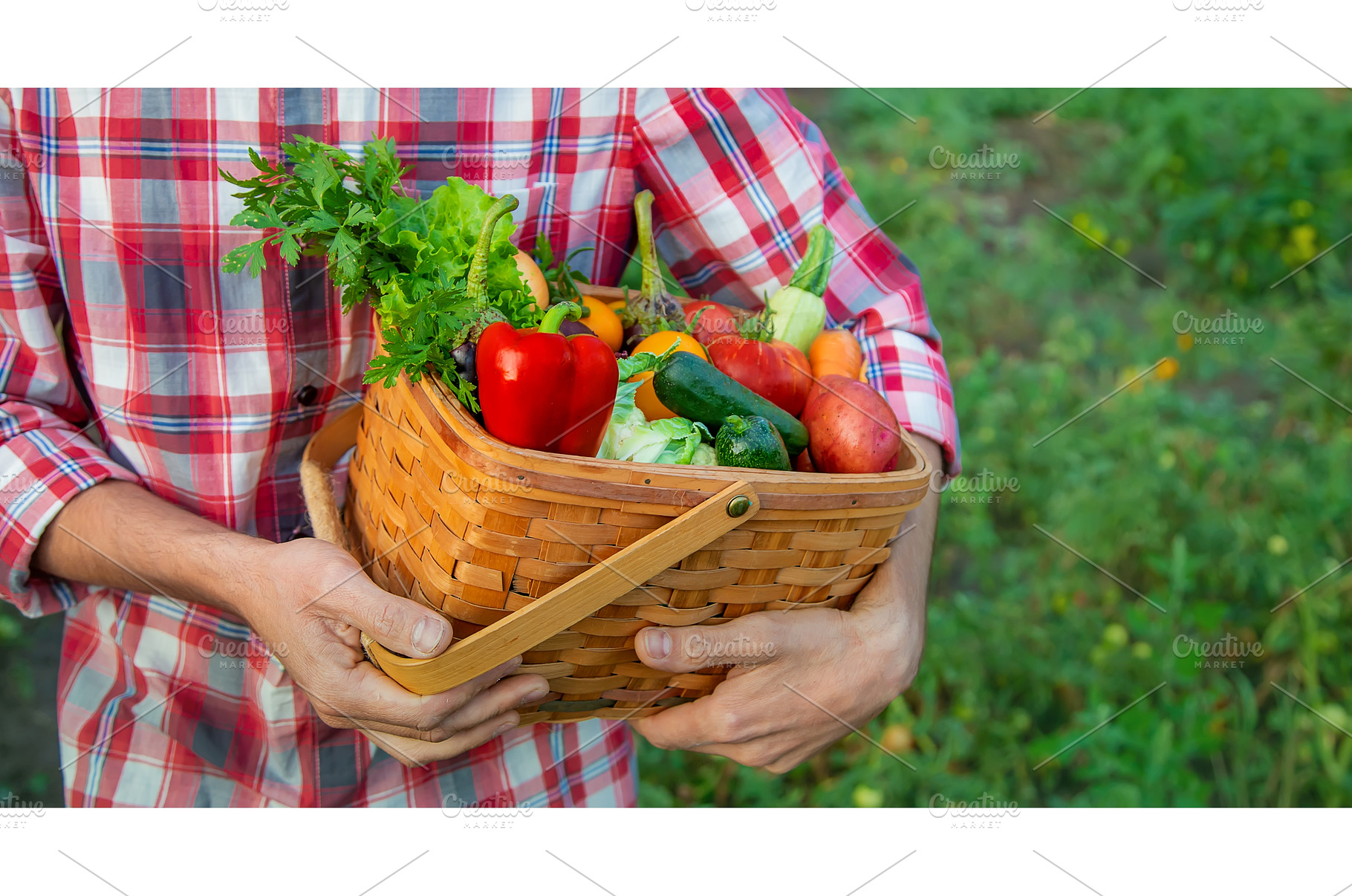 A man farmer holds a harvest of, a Food & Drink Photo by yanadjana