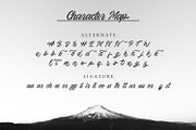 Northing - Modern Script Font, a Script Font by Alpaprana (Thumbnail 8 of 10)