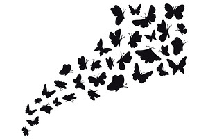 Butterfly Flow Silhouettes. Flying