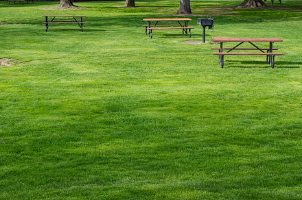 Picnic Tables In Public Park Featuring Park Grass And Lawn preview 6