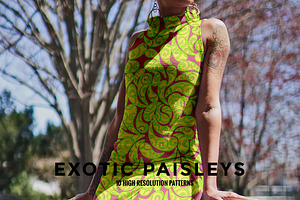 Exotic Paisleys