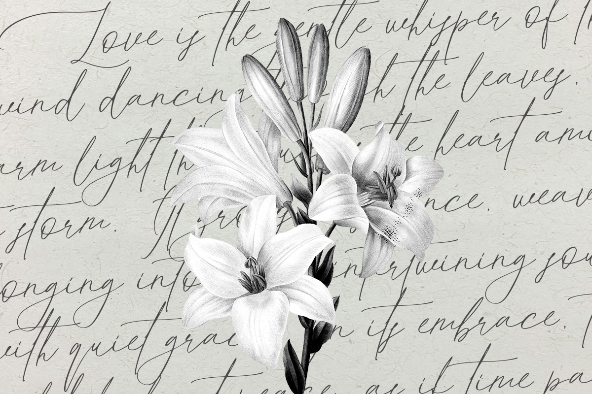Hillieston Elegant Wedding Font, a Script Font by DzikrulAulia (Photo 5 of 10)