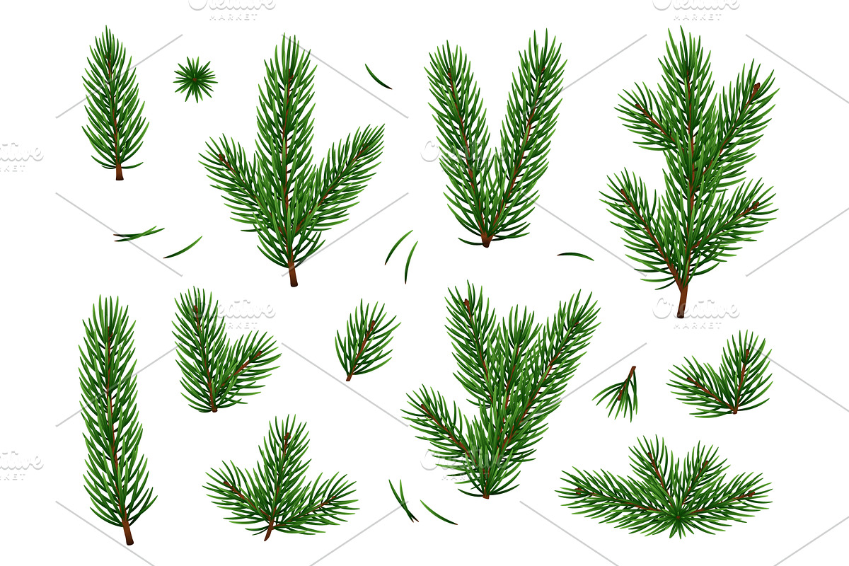 Green fir branches. Realistic pine, an Object Illustration by YummyBuum
