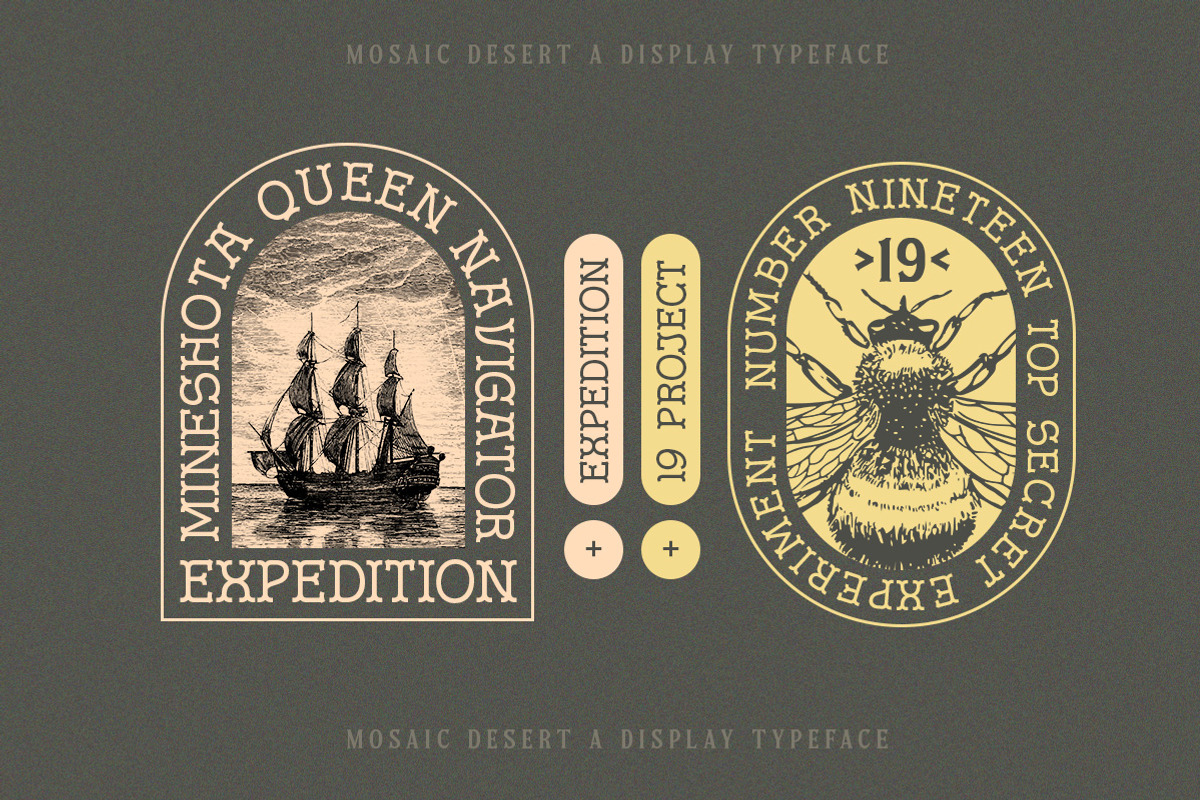 Mosaic Desert - Display Typeface, a Sans Serif Font by Letterhend Studio (Photo 5 of 9)