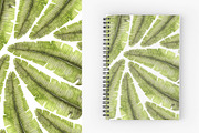 Watercolor leaves collection, a Decorative Illustration by Maria's little shop (Thumbnail 4 of 9)