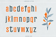 Khayaal Display Font, a Sans Serif Font by Creativetacos (Thumbnail 4 of 13)