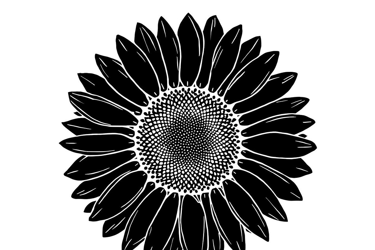 Floral Flower Vector Collection, an Illustration by Designer_Momina (Photo 8 of 9)