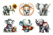 Watercolor Autumn Elephant Clipart, an Illustration by Daily.Designs (Thumbnail 5 of 5)