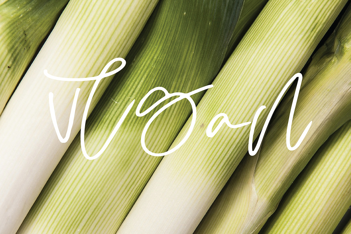 harvest font preview 2