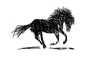 Horse with monochrome pencils. New, an Animal Illustration by Nenahliadava Design