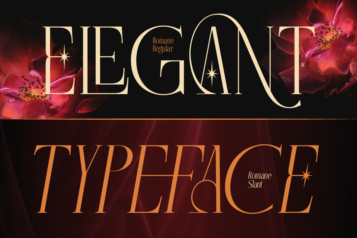 Romane - Elegant Serif, a Serif Font by Burntilldead (Photo 4 of 11)