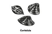 Seafood collection_part 1, a Food Illustration by ZotovShop (Thumbnail 11 of 11)