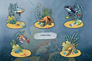 Underwater world watercolor collecti, an Animal Illustration by IrynaPanashii (Thumbnail 11 of 16)