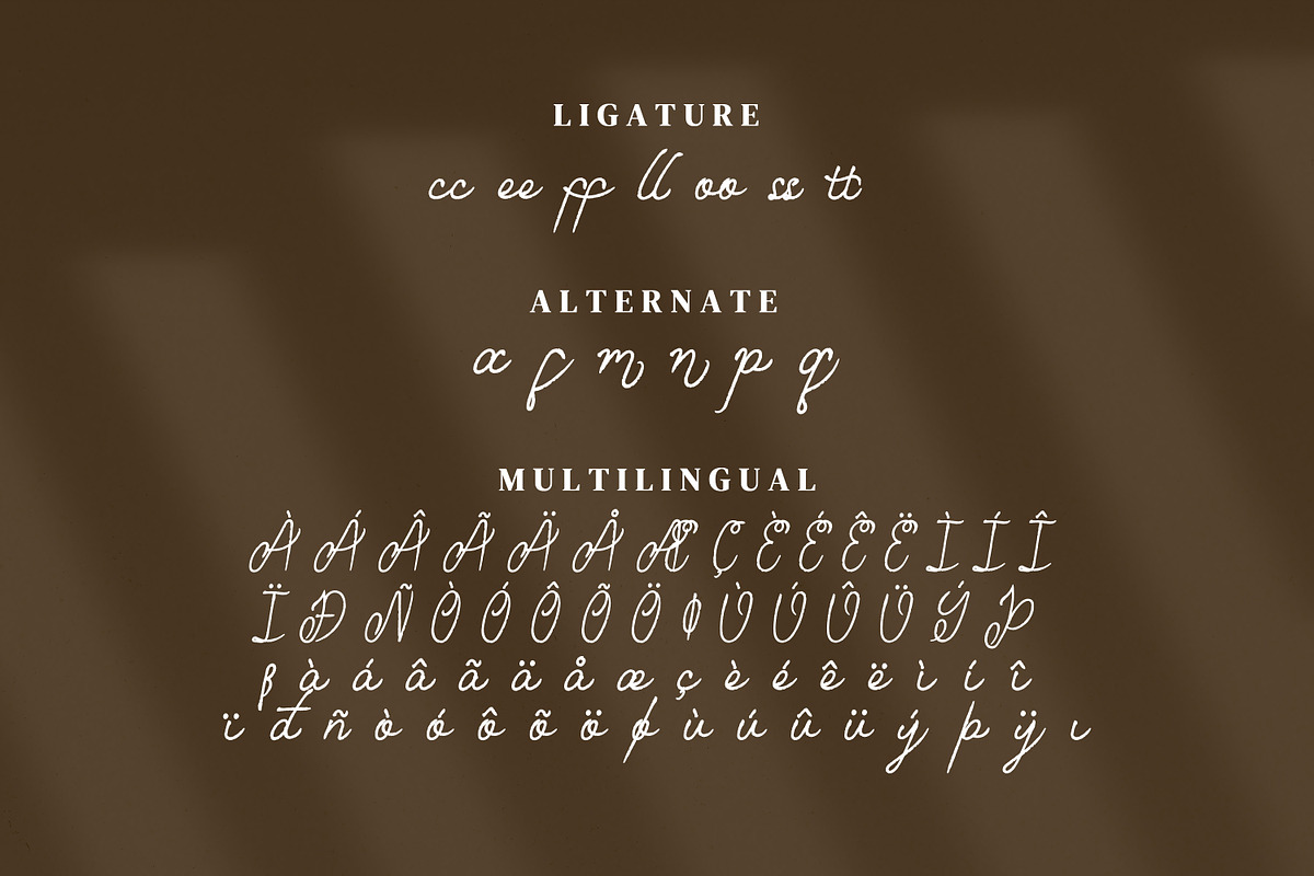 Emillam Script Fonts, a Script Font by mahstudios (Photo 13 of 15)