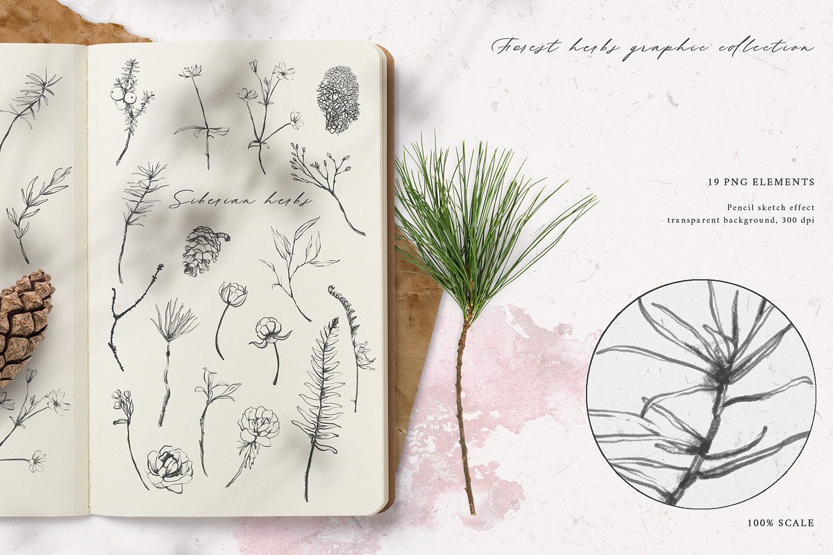 TAIGA Graphic collection, an Animal Illustration by Lemaris (Photo 2 of 8)