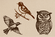 20 Vintage Birds Vector Graphics, a Graphic by Vectorian (Thumbnail 3 of 4)