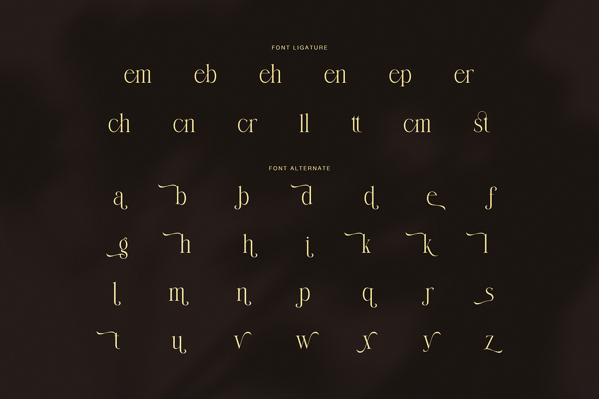 Remla Elegant Serif Font, a Serif Font by Graphicxell (Photo 8 of 8)