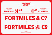 Flatface Grosy, a Symbol Font by Flatface (Thumbnail 6 of 10)
