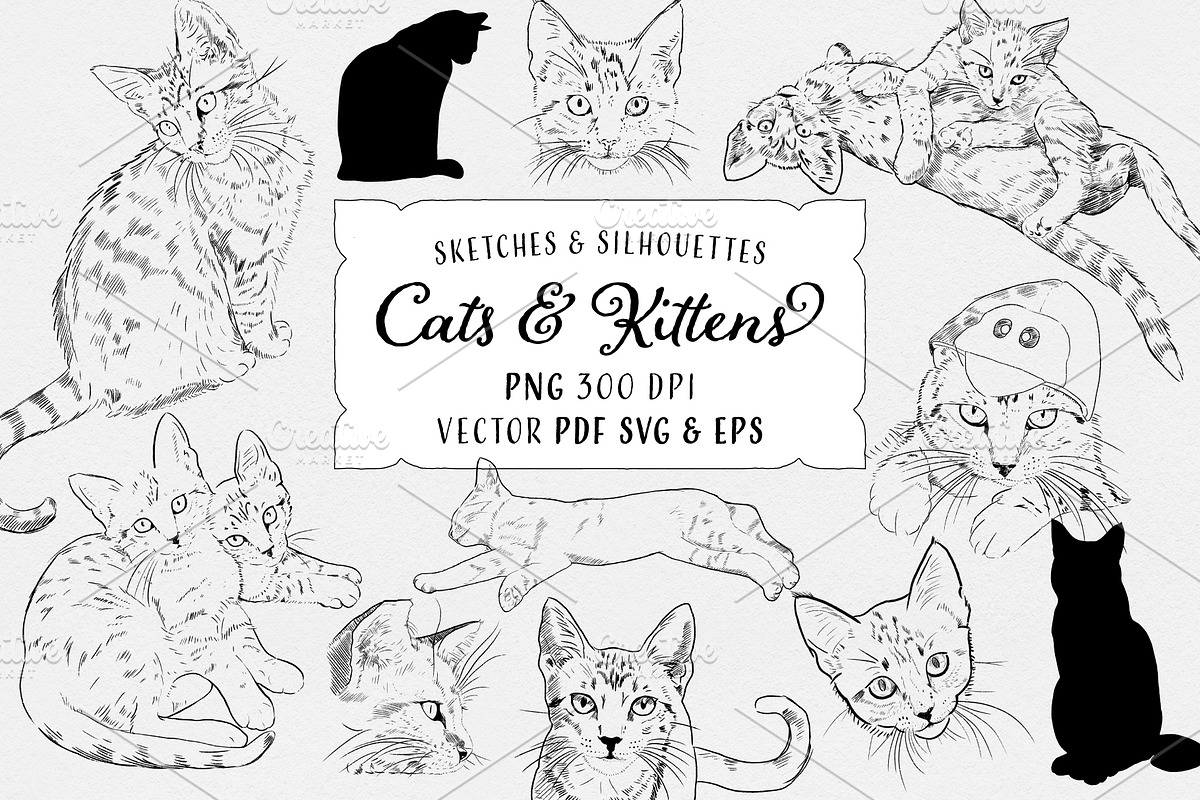 Cats & Kittens Sketches & Silhouette, an Animal Illustration by becky nimoy (Photo 2 of 4)