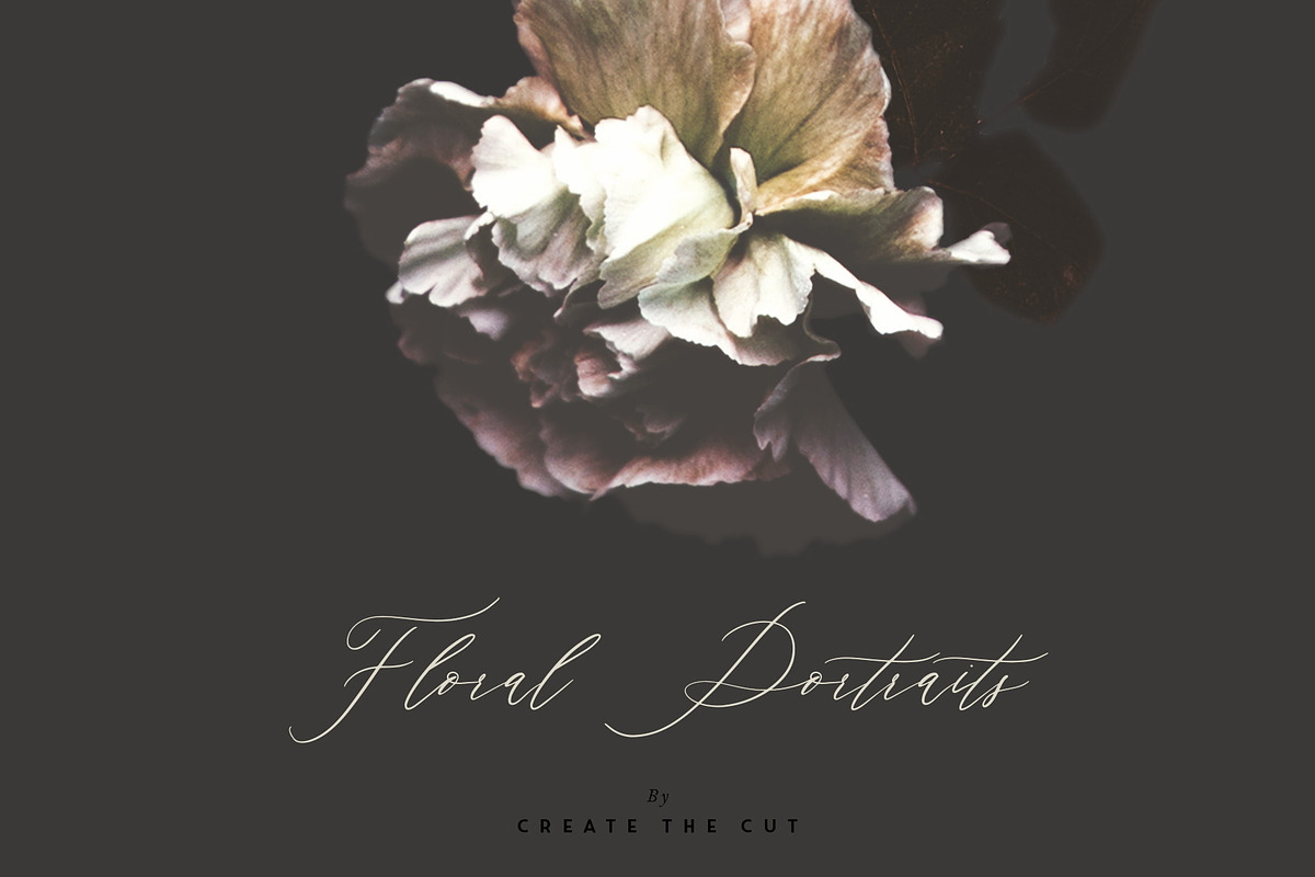 Digital Floristry - Floral Portraits, an Illustration by Create The Cut (Photo 7 of 10)