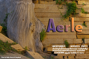 Aerle: foundation of companion sans