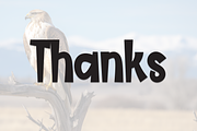 Eagle Highland | Script Font, a Script Font by Scratchones (Thumbnail 9 of 9)
