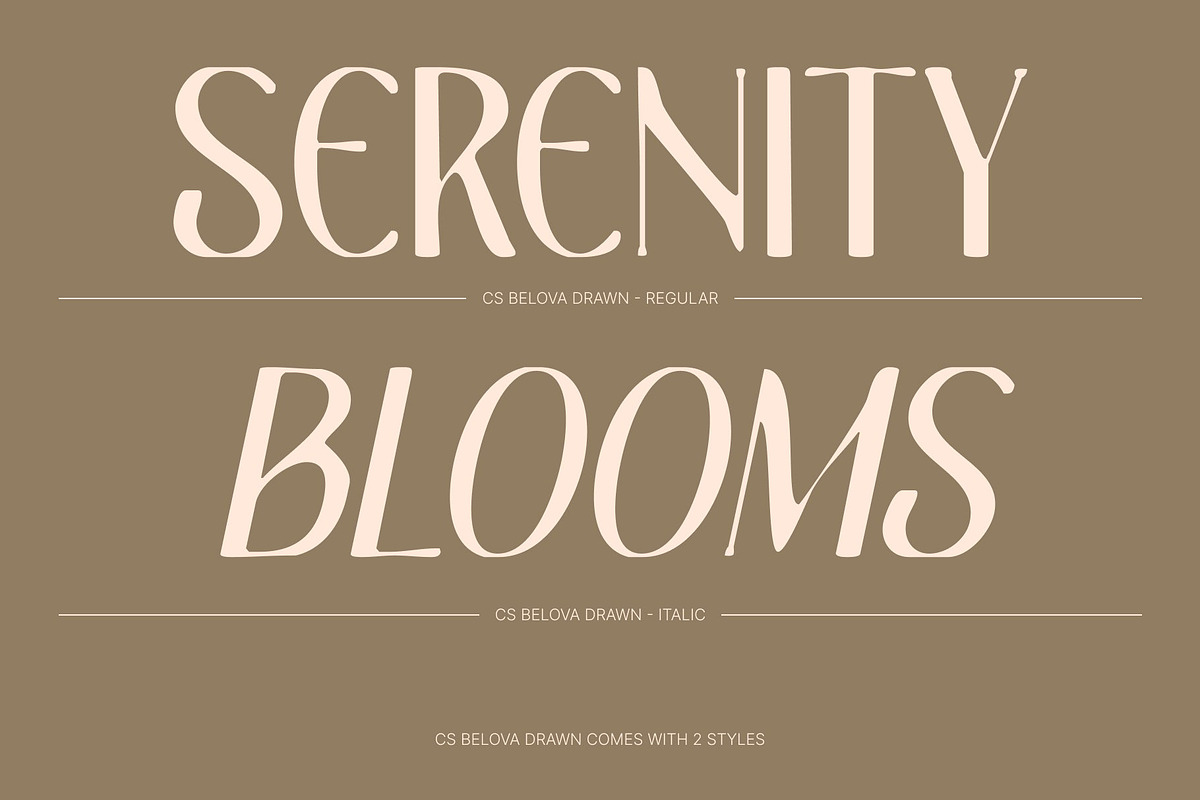CS Belova Drawn, a Serif Font by Craft Supply Co. (Photo 3 of 8)