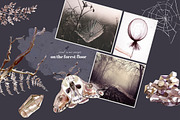 Mystical Wilds. Watercolor set., an Object Graphic by Dinkoobraz (Thumbnail 5 of 10)