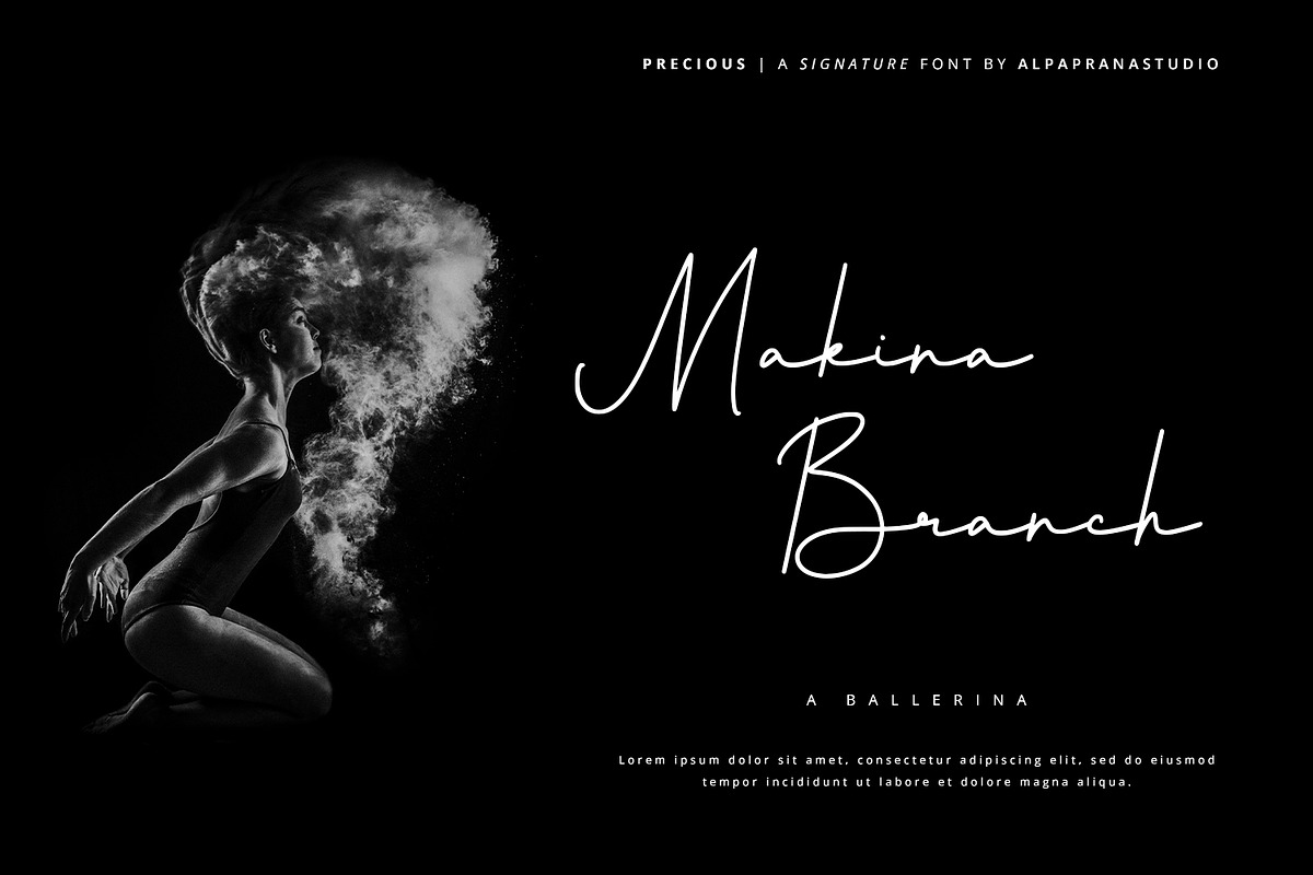 Precious - Signature Font, a Script Font by Alpaprana (Photo 4 of 12)