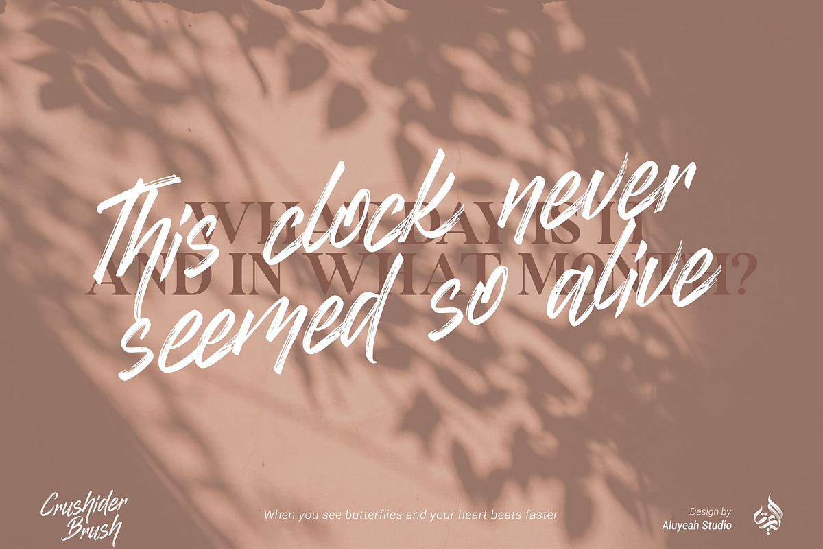 Crushider Brush, a Script Font by Aluyeah Studio (Photo 12 of 14)