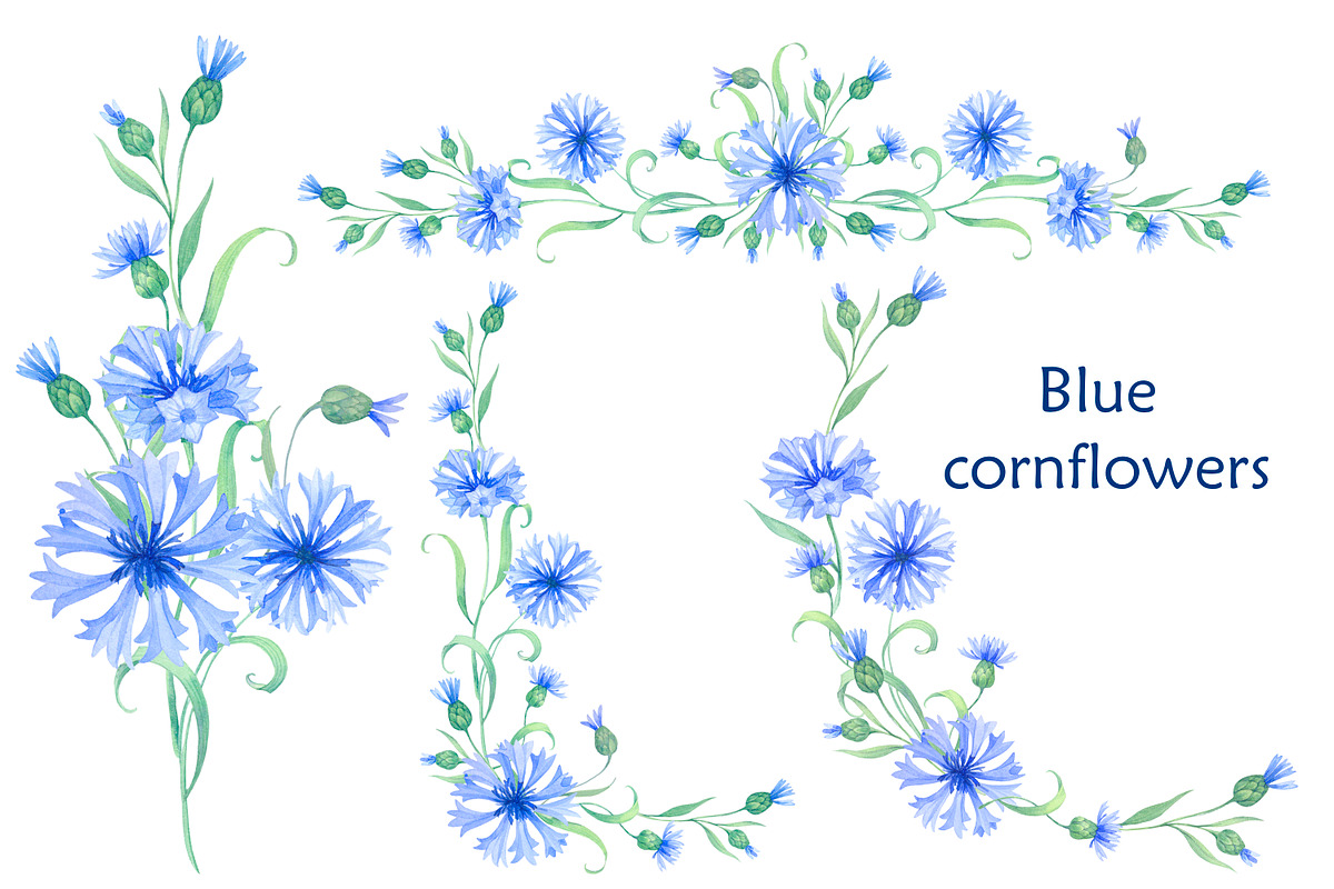 Blue cornflowers bundle, a Decorative Illustration by EshaStudio (Photo 3 of 15)