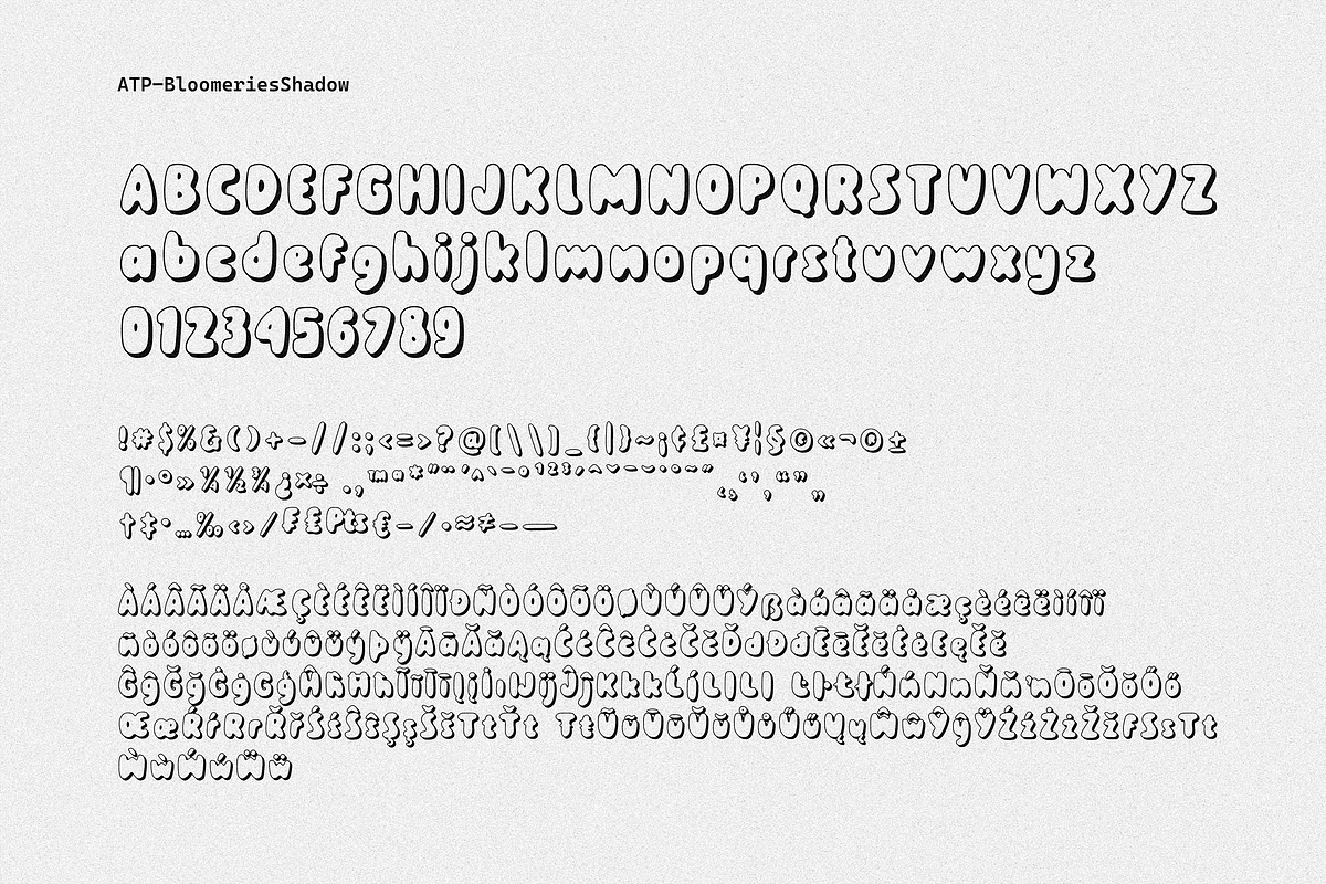 Bloomeries - Bold Display Font, a Symbol Font by Typeparties (Photo 14 of 16)