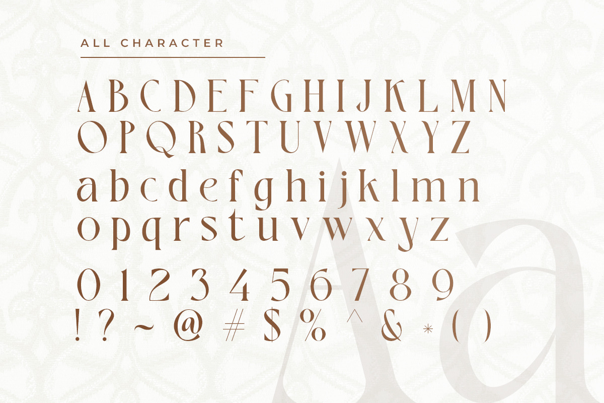 Robuca - Vintage Serif, a Serif Font by Tammami (Photo 9 of 9)