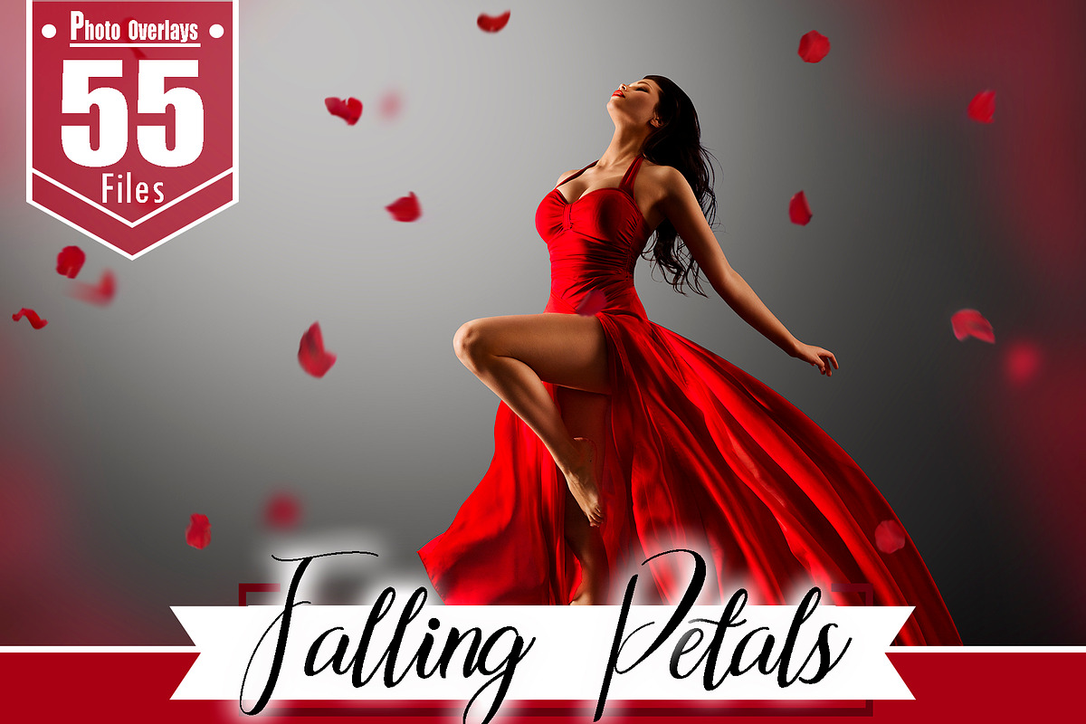 55 Falling Petals Photo Overlays, a Layer Style Add-On by OverlayBox (Photo 1 of 5)