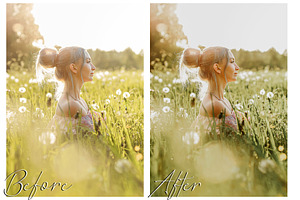 MOODY SPRING LIGHTROOM PRESETS