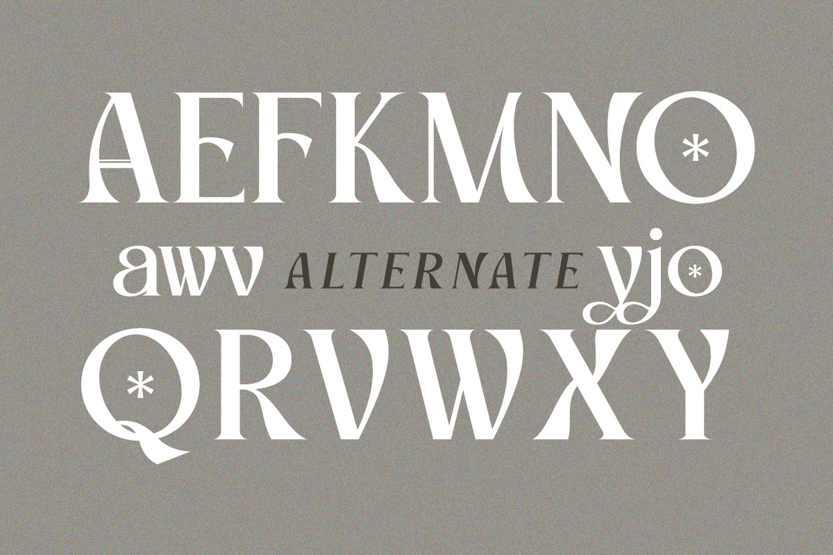 Vlatcho - Elegant Refined Serif, a Serif Font by Qweera Studio (Photo 10 of 12)