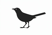 Bird Silhouette design bundle, an Illustration by hafijul (Thumbnail 3 of 13)