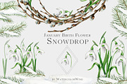 Snowdrop Birth Month Flower Clipart, an Illustration by Ksenia Shmakova (Thumbnail 1 of 9)