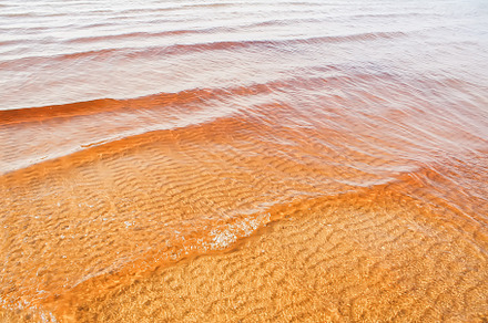 Baltic Sea Beach At Dusk preview 3