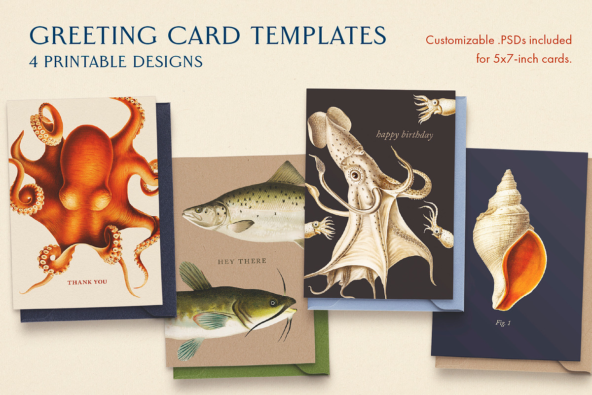 60 Vintage Marine Creatures, an Illustration by The Object Atlas (Photo 6 of 8)