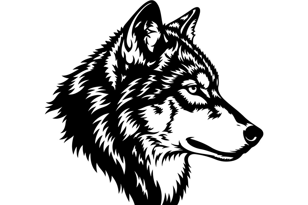 Premium Alpha Wolf Illustration, an Animal Illustration by Designer_Momina (Photo 7 of 18)