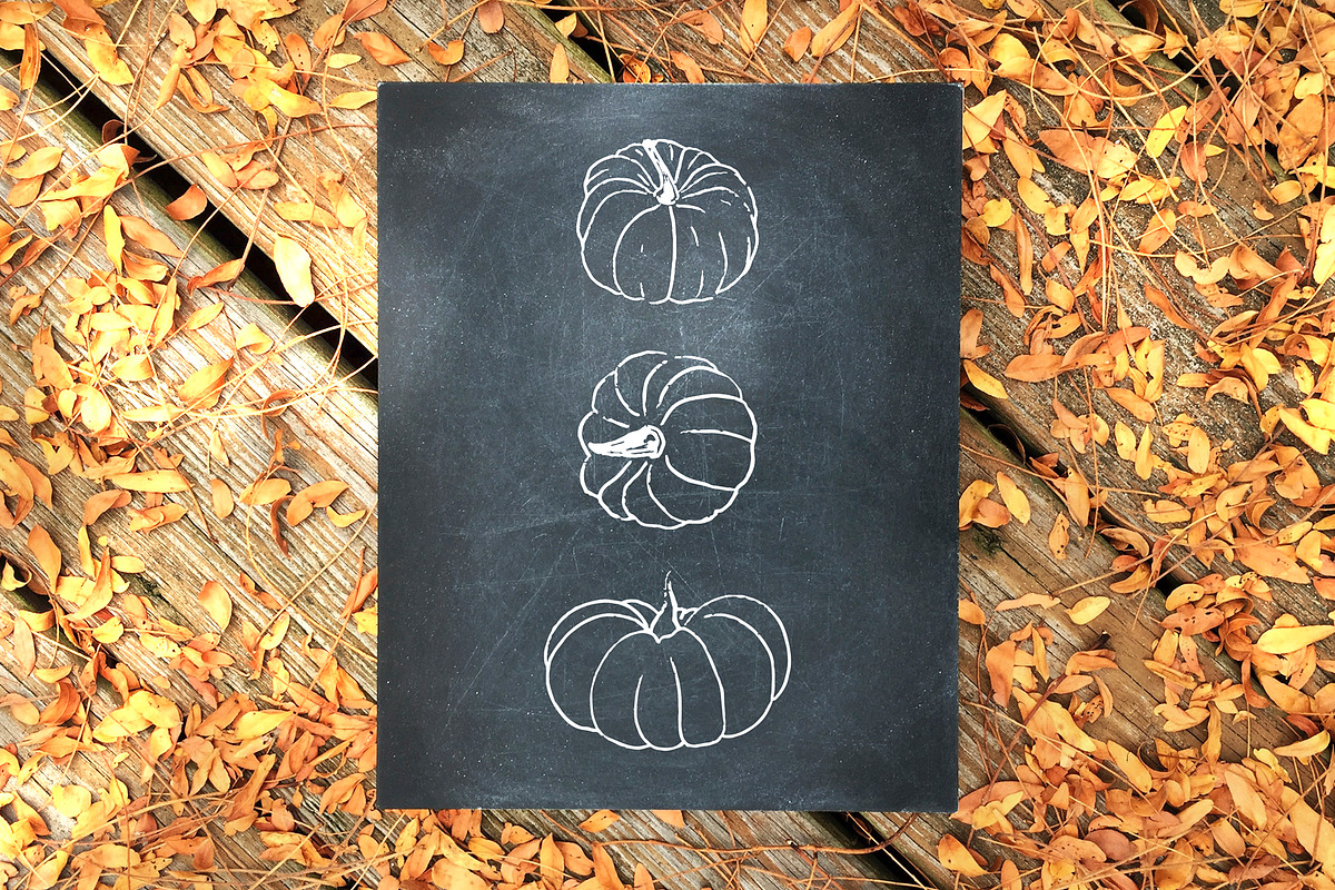 Pumpkins. Graphic collection, an Object Graphic by Vera●Suleimanova (Photo 3 of 14)