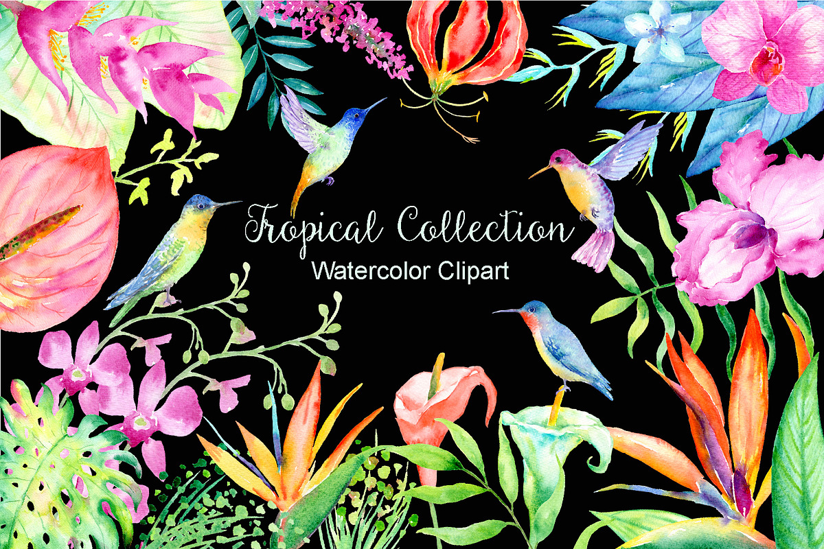 Watercolor Tropical Collection, an Illustration by Corner Croft (Photo 1 of 6)