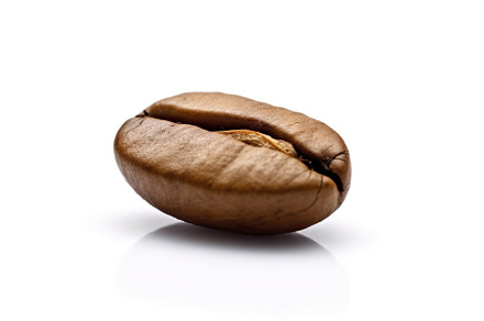 One roasted coffee bean isolated on white background, a Food & Drink Photo by AlyaAnd