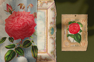 Vintage Botanica Collage Creator